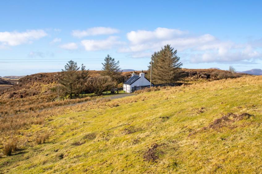 The Cottage - foto 43