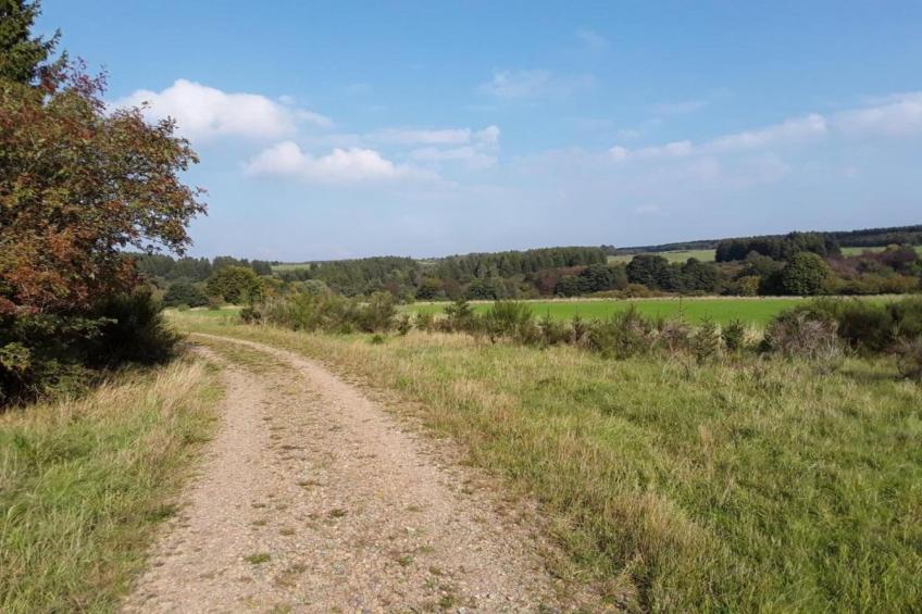 Morsbacher Hof III - foto 36
