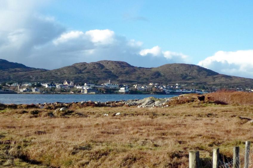 Bridies Holiday Cottage Roundstone - foto 24