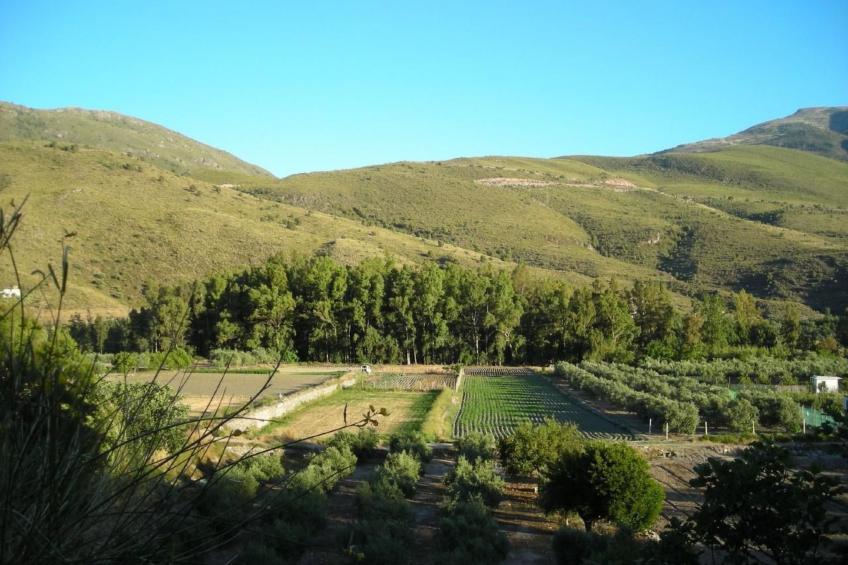 Gemütliches Ferienhaus in Tíjola mit Grill, Garten und Terrasse - foto 27