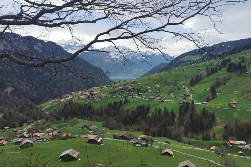 Fewo Wychelboden - foto 14