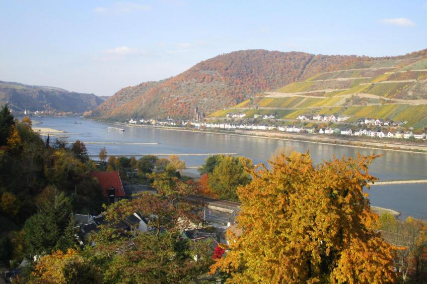 am Bach - foto 34