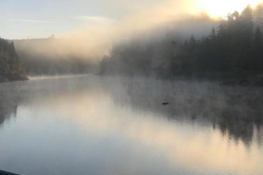 Gartenblick - foto 42