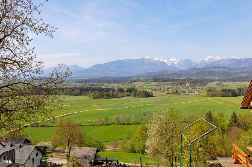 "Schmetterlingsplatz" - foto 5