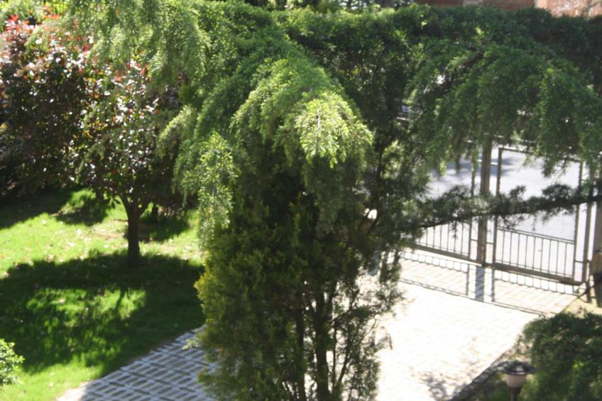 La Casa di Rachele Wohnung mit Garten - foto 4