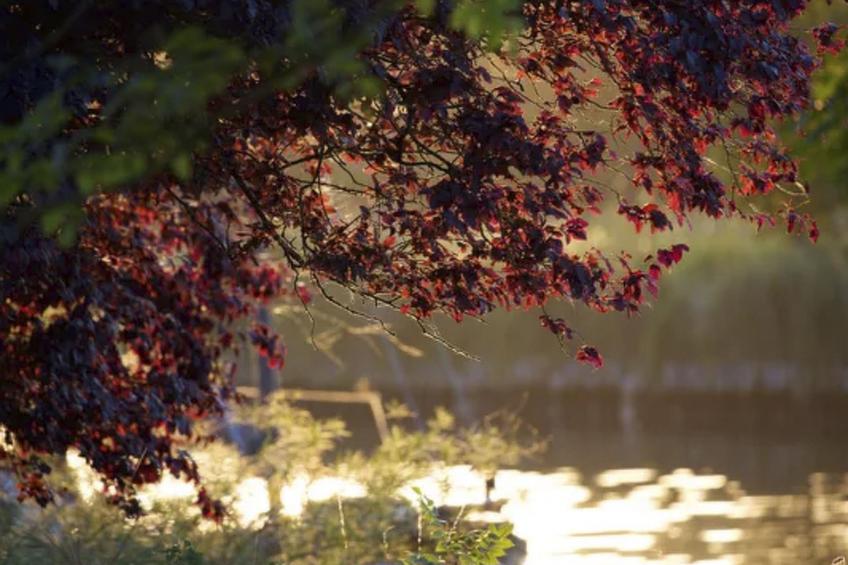 Traumhaftes Reetdachhaus an der Nordsee - foto 41