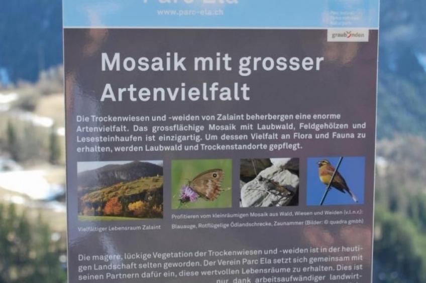 Blick auf herrliche Bergwelt - foto 17