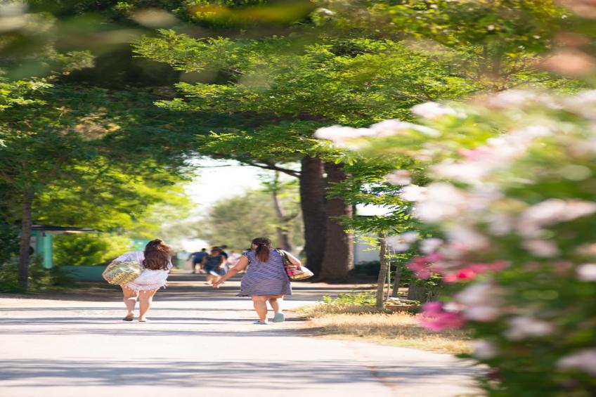 Cesenatico Camping Village - MOBILE HOME CASSIOPEA CESENATICO - foto 20