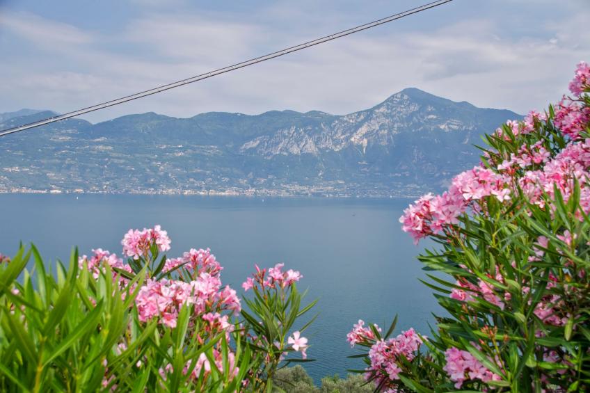 Residenza Il Cavaliere del Lago - foto 27
