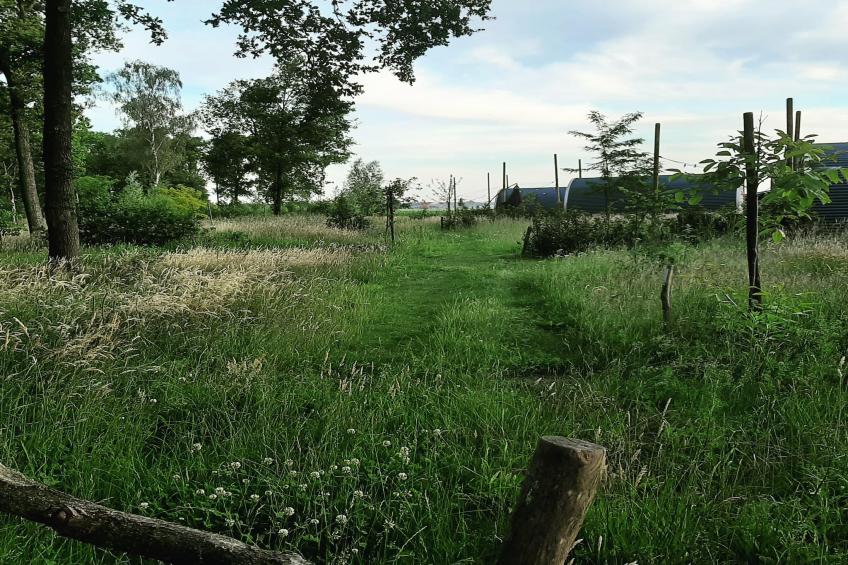 De Ree en de Specht - foto 13