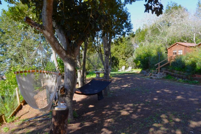 Sombra del Laurel - foto 23