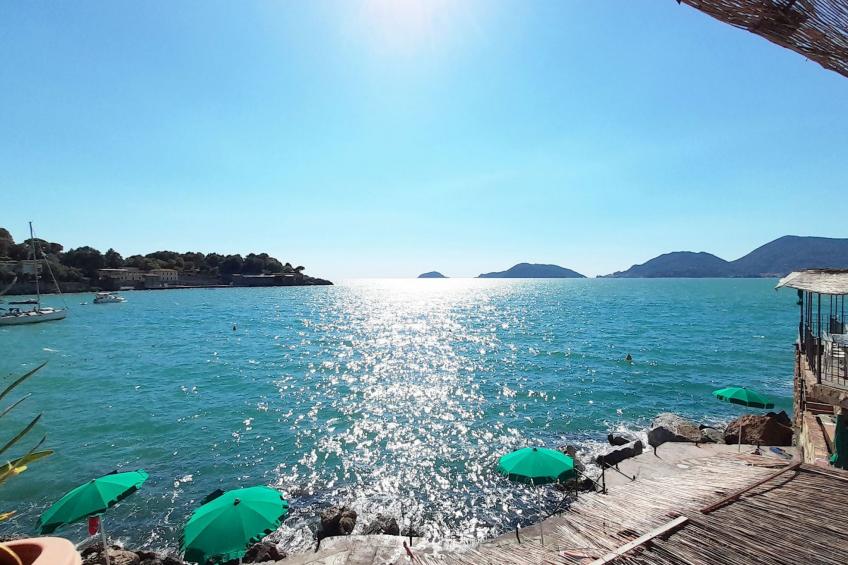 Villa Garibaldino - foto 31