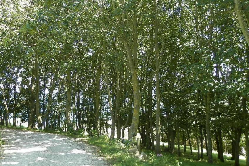 "Tromeal Lasalle" blick auf das Meer. Mit 4 Sternen klassifiziert - foto 28