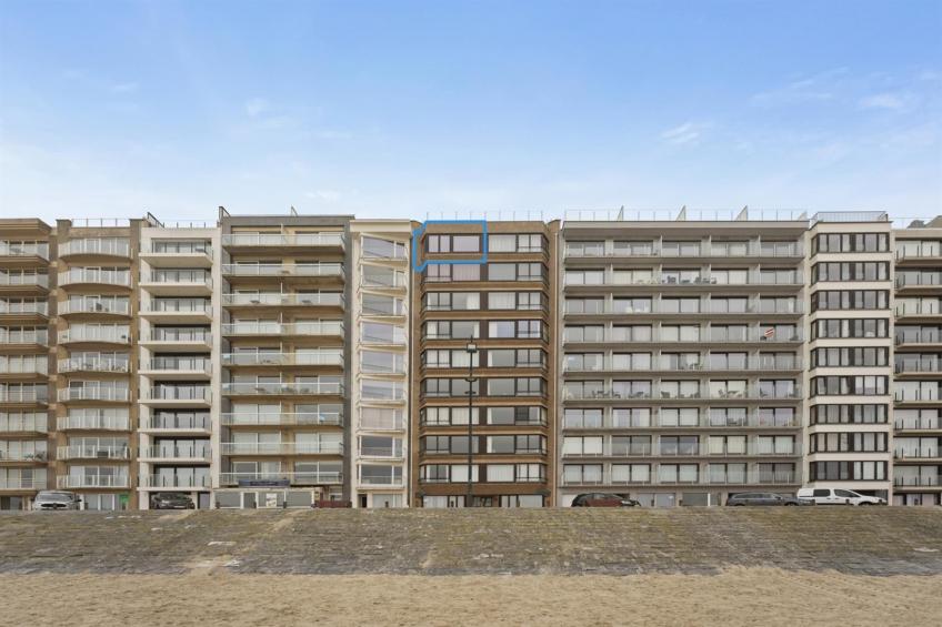 SEASIGHT - 91 - foto 5
