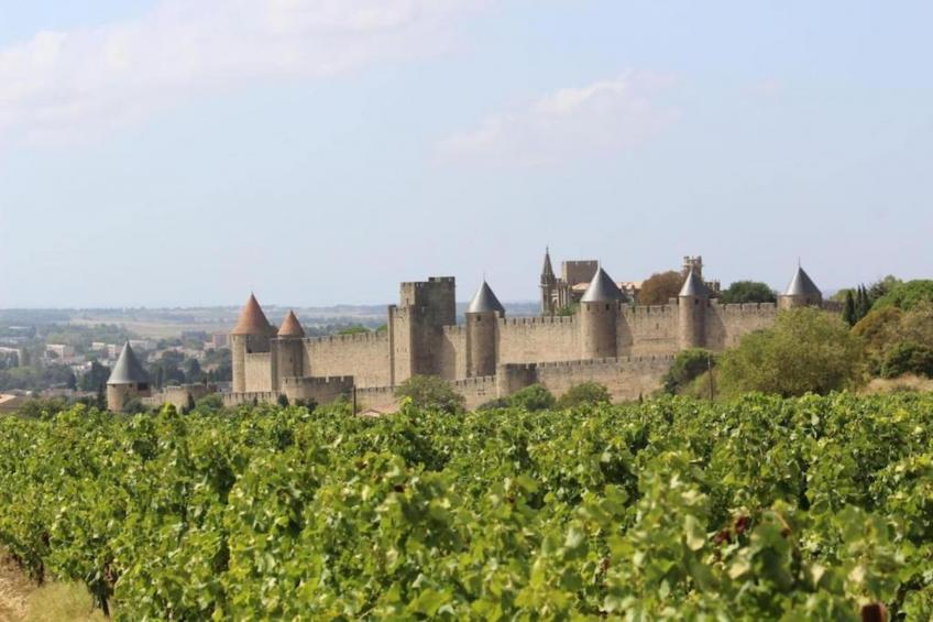 Villa Vignes et Bambous - foto 28