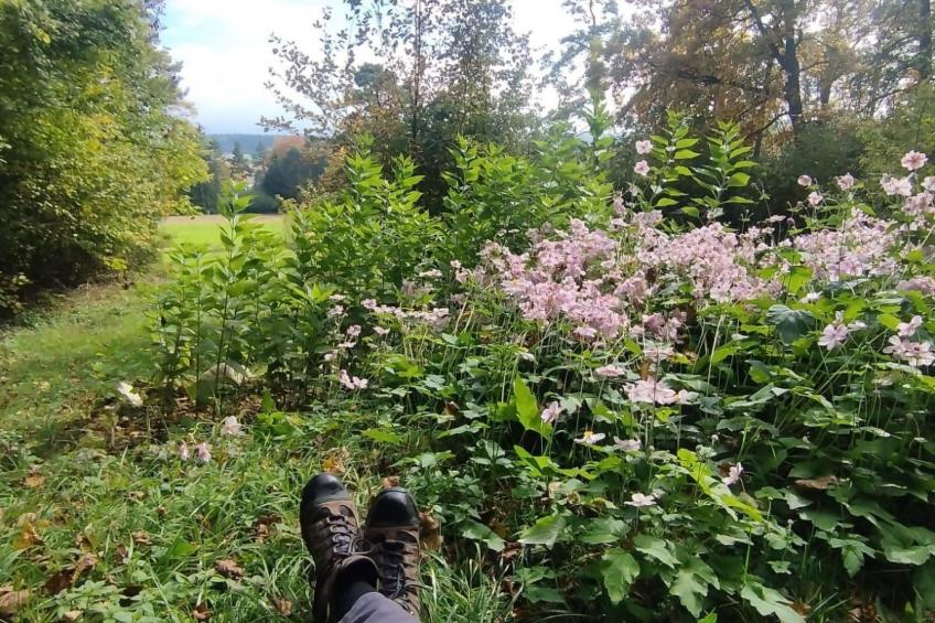 Waldhaus auf Randen - foto 13