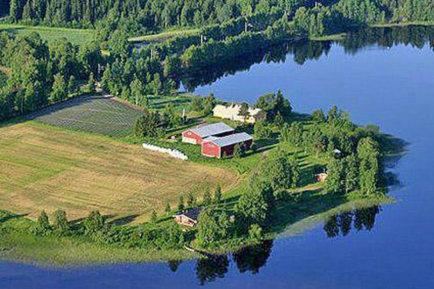 Koivuniemi - foto 40