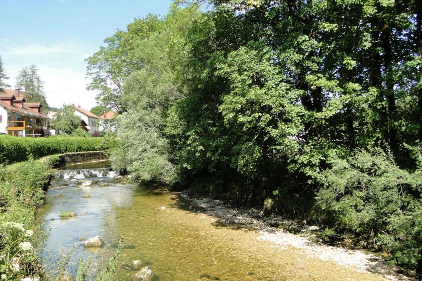 Gite Iris Montagnes du Jura mit Spa Sauna Fluss - foto 23