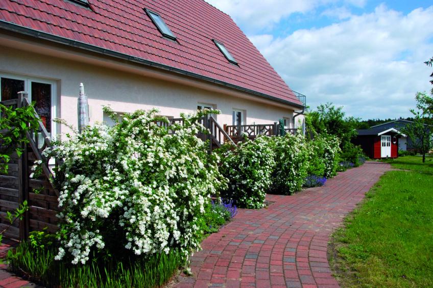 Studio 7 - Kranichhorst 3 Personen - foto 2