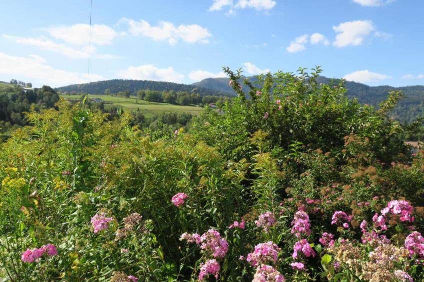 Appartement l'Aigle - Saint-Maurice-sur-Moselle - foto 29