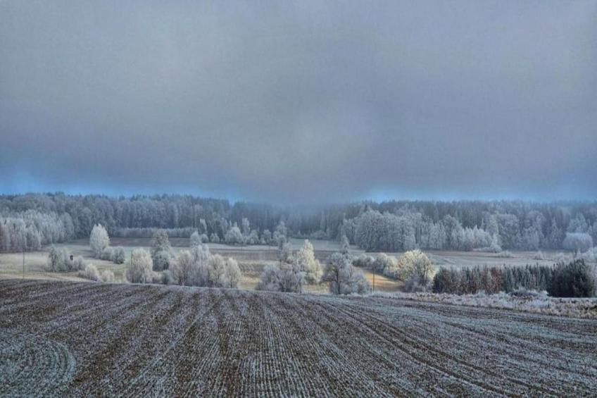 Apartament Nemojov A - foto 31