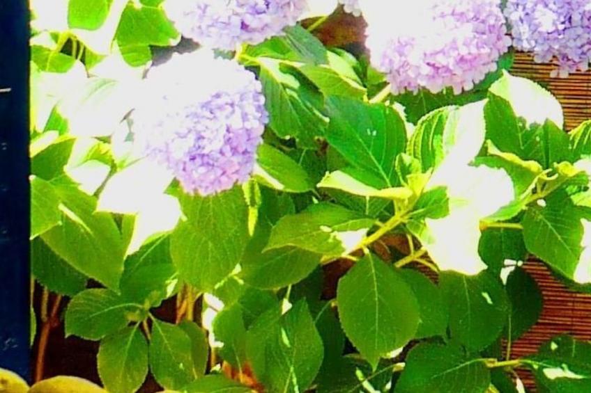 La Terrazza - foto 17