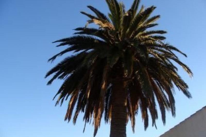 Feriendorf "Hort de la Cinteta". - foto 10