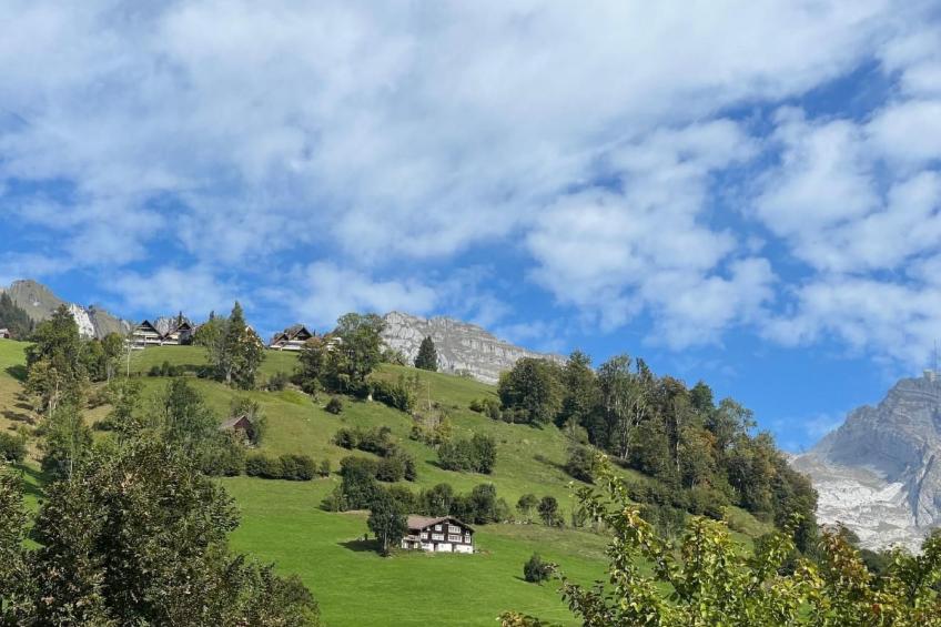 Chäserruggblick - foto 25