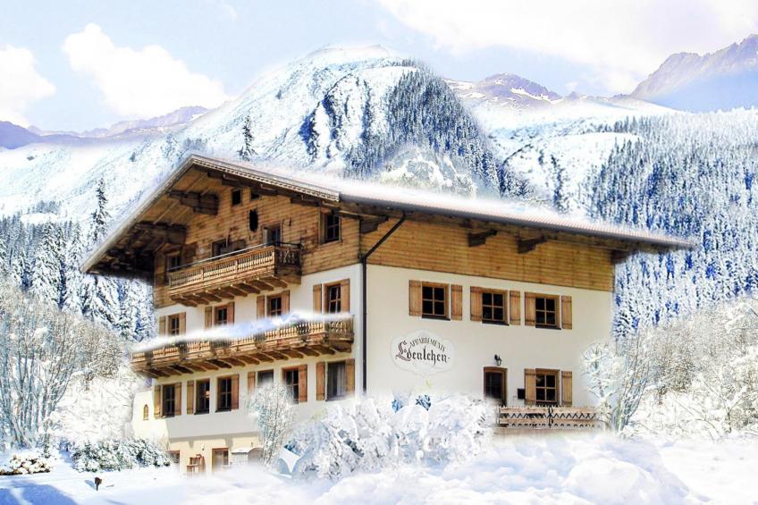 Appartementenhuis Edenlehen, Krimml - Type A - foto 28