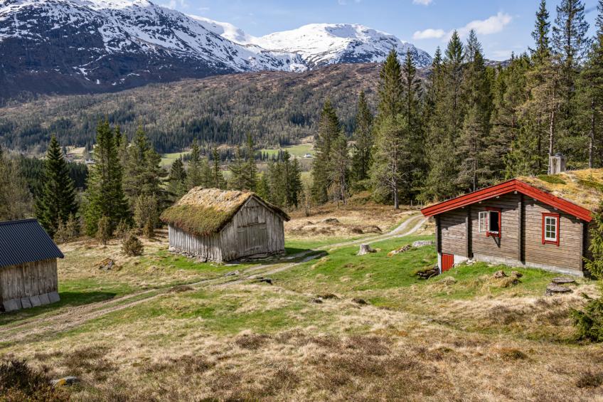 Fjellbris (FJS106) - foto 30