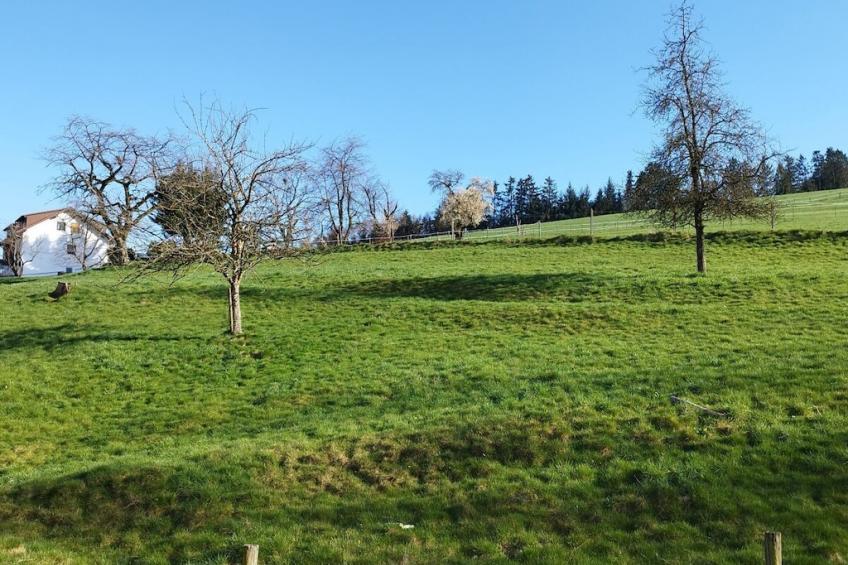 447053 - foto 23