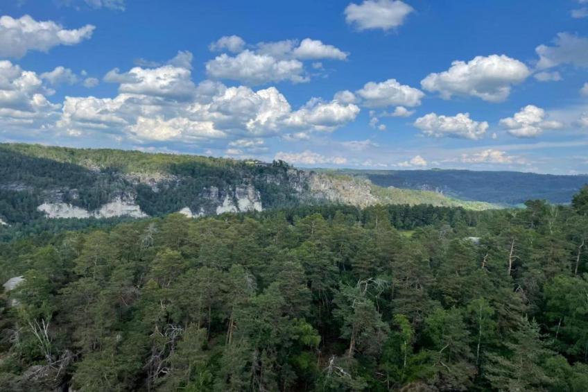 Ferienwohnung im Grünen Erdgeschoß - foto 34