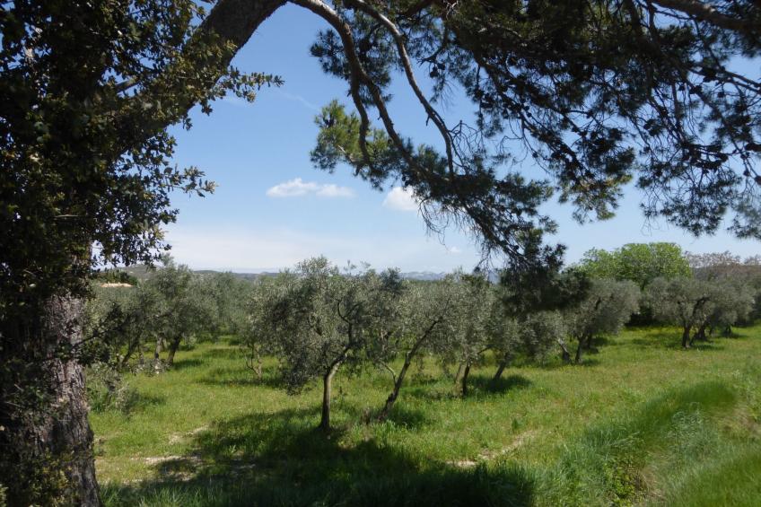 mit Garten und Pool - foto 20