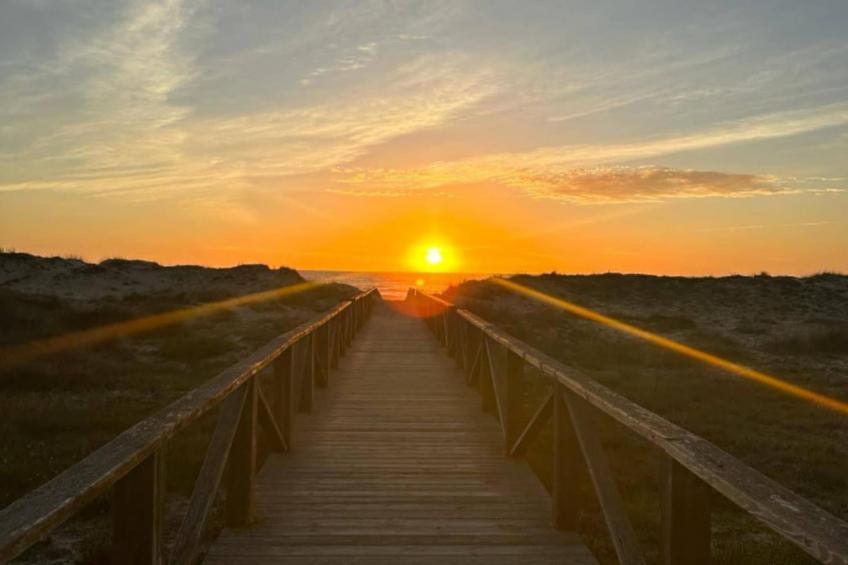 5024 -+34672427629 - foto 23