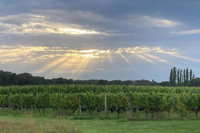 De Weelderik 3 - foto 30