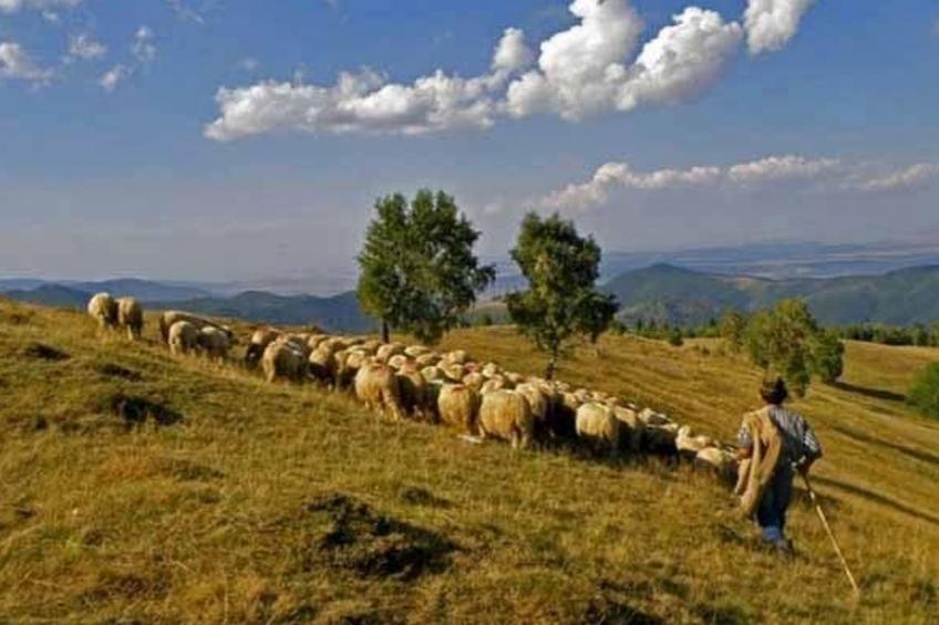 in Sibiel mit Terrasse und Grill - foto 16