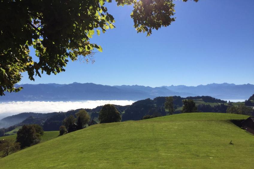 See in Sicht - foto 30