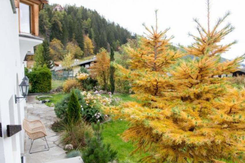 Familienunterkunft Furnerschhus Churwalden für 4 Personen - foto 14
