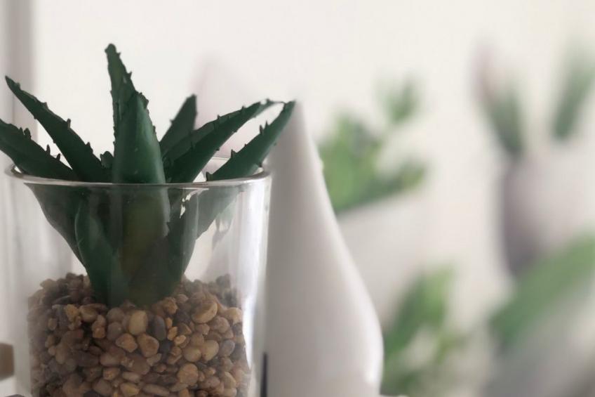 Studio in zentraler Lage - nur wenige Minuten zum See und Stadt - foto 2