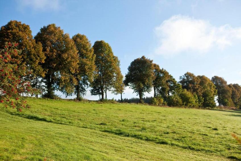 Zur Kahler Asten - foto 17