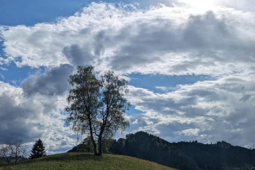 B & B auf dem Bauernhof - foto 16