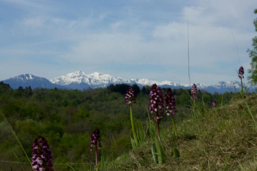 Hochwertiges Haus mit Terrassenblick auf die Berge - foto 21