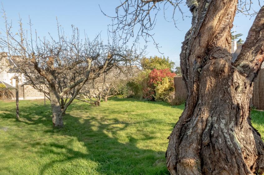 Le Petit Biyou - foto 22