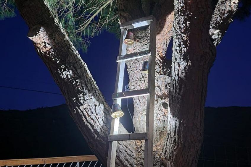 Weißes Haus in Douro Weinberge - foto 21