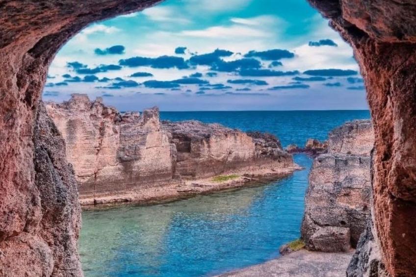 Girasoli in Tricase Porto - foto 62