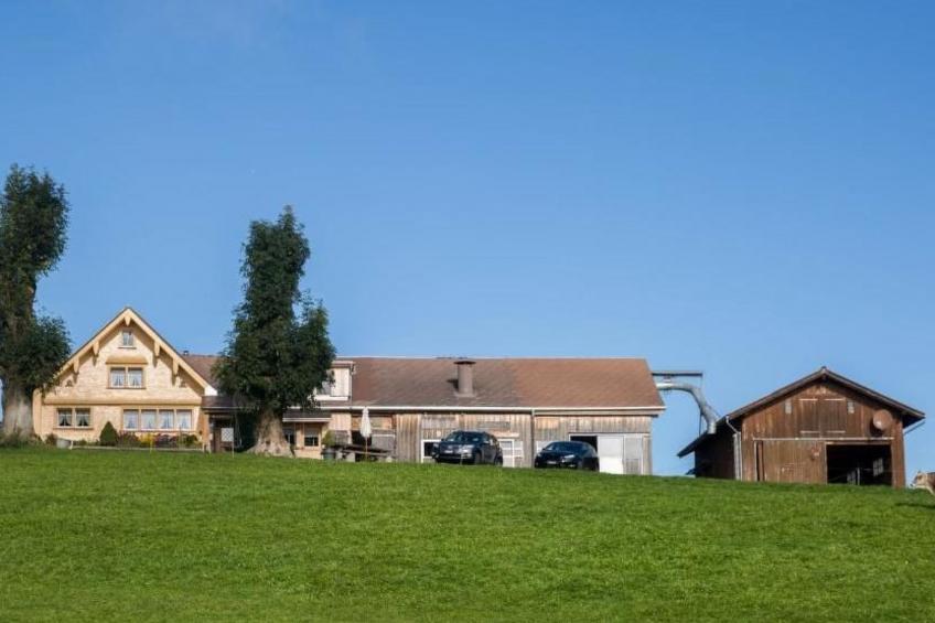 Bauernhof Fendrig  - neue Wohnung - foto 11