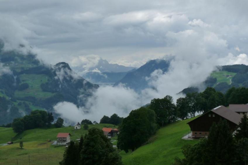 Bauernhof obere Fraumatt - foto 10