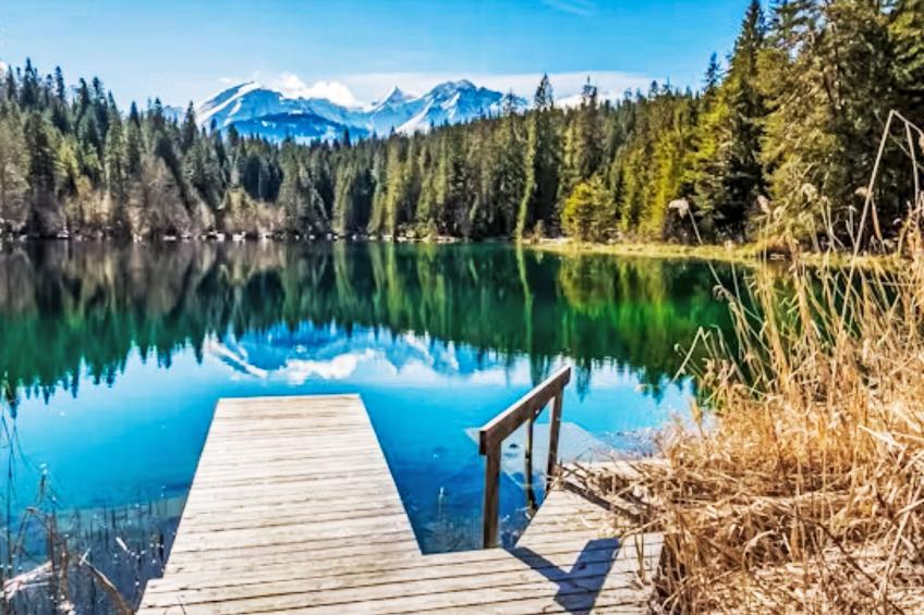 Chalet Crap Grisch (LAA554) - foto 33