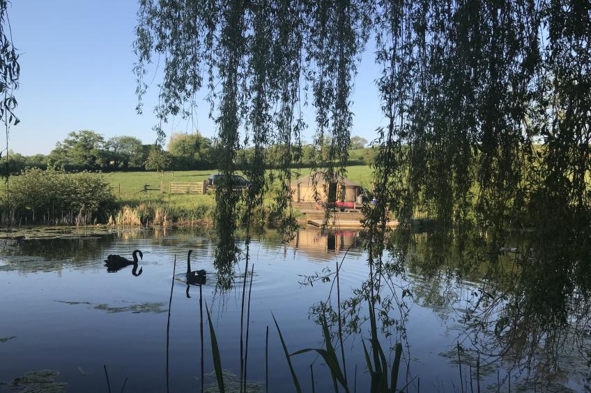 New Park Farm - foto 61