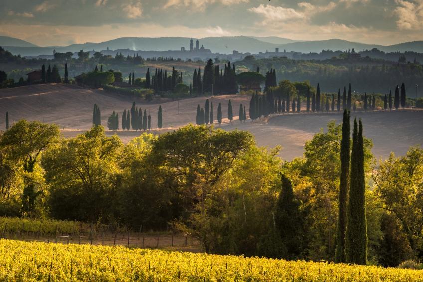 Romantic Apartment In Chianti Classico - foto 22
